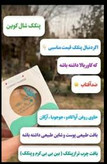 پنکک شال کویین 102
