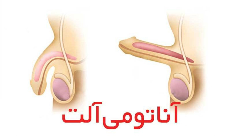 معجون تقویتی و درمانی مردانه ساز ویژه اقایان و خانم ها ویژه مشکلات جنسی سطح ۱ یا ضعیف کمک به درمان زود انزالی سرد جنسی عدم نعوظ مشکلات سطح ۱ خانمها